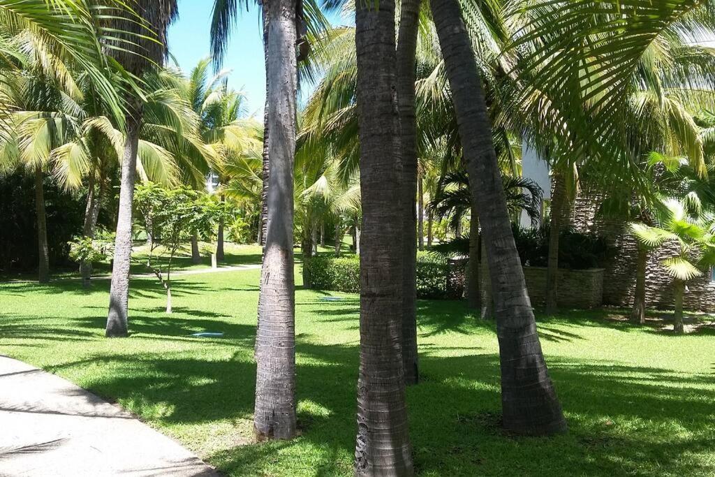 Appartement La Isla Residences Abierto De Tenis 23